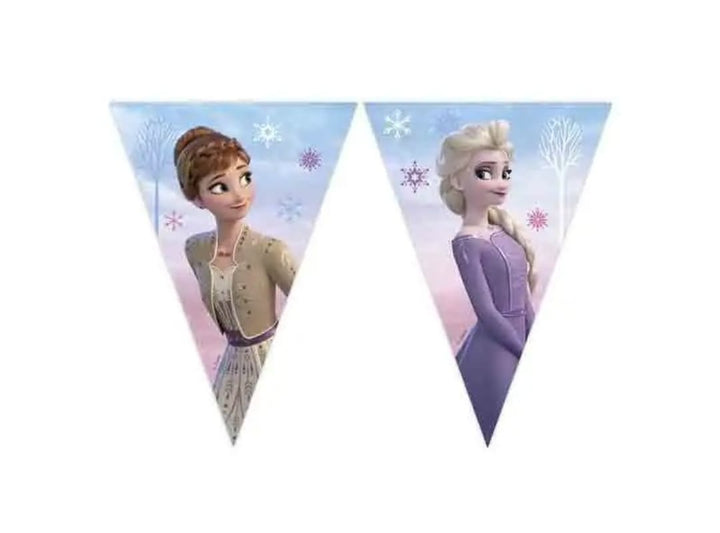 Kit party coordinato tema Frozen